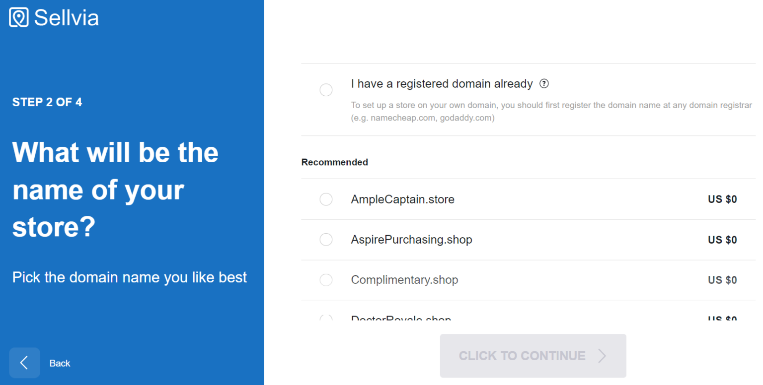 select your sellvia dropshipping domain name